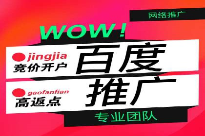 百度搜索广告推广优化的秘诀与案例